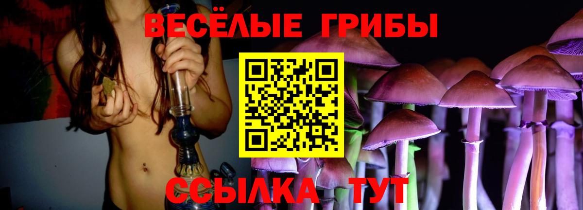 Псилоцибиновые грибы мухоморы Новокуйбышевск